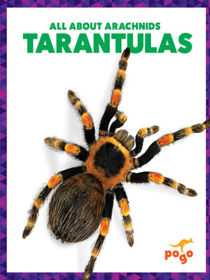 cover image of Tarantulas